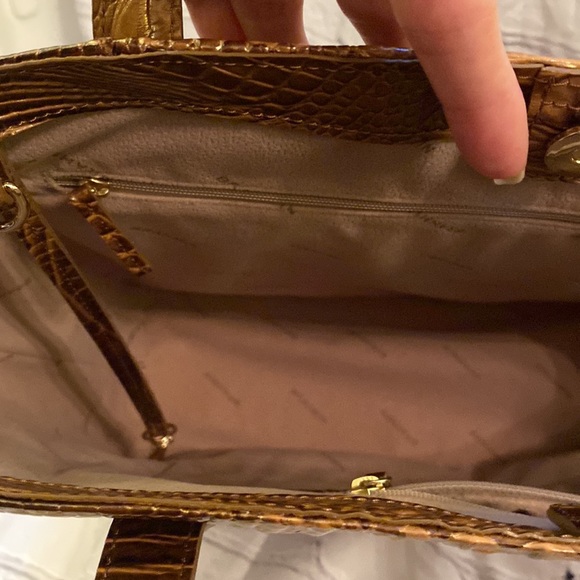 Brahmin - Picture 7 of 9